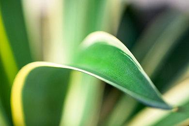 《碧蓝幻想Relink》PC＆PS平台限时50%折扣开启！